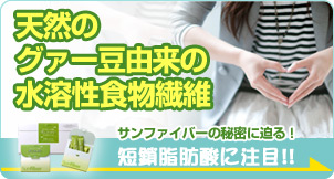 サンファイバー